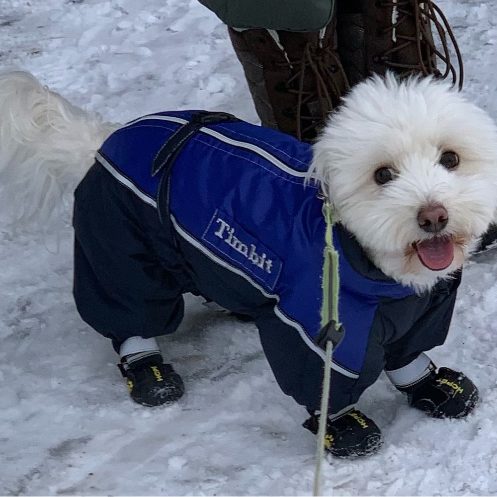 Snowsuit for Small Dog